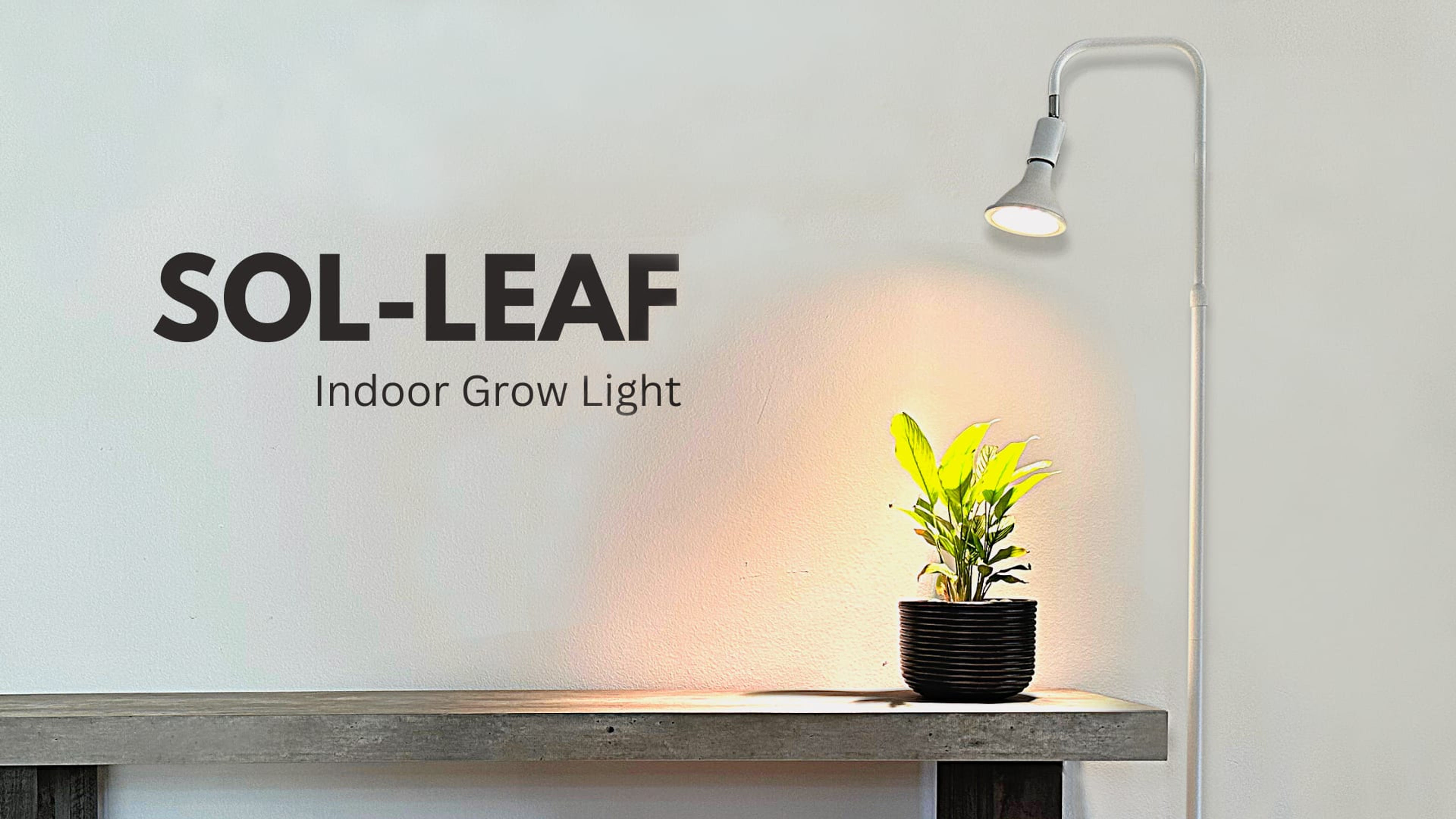 Sol-Leaf